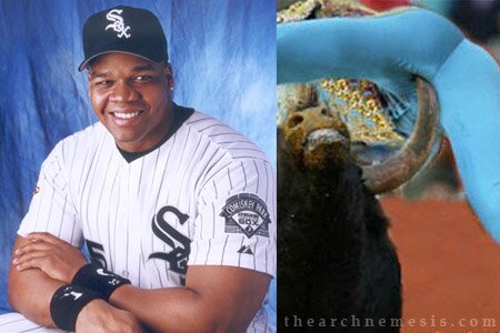 Frank Thomas The Big Hurt