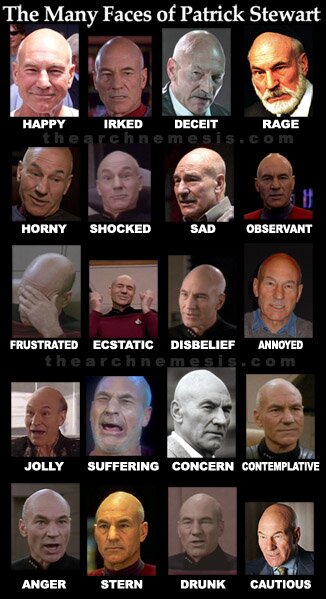 THe Many Faces of Patrick Stewart Small
