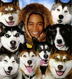 Snow Dogs