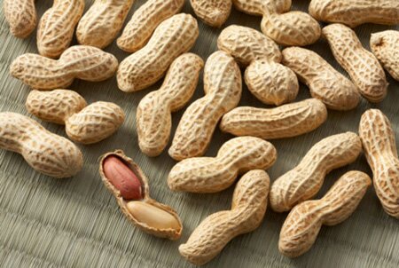 Peanut