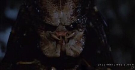 Predator Ugly Mother