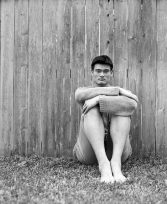 Yao Ming artsy